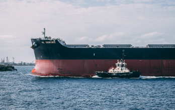 Ответственность компании-перевозчика при перемещении грузов морским видом транспорта